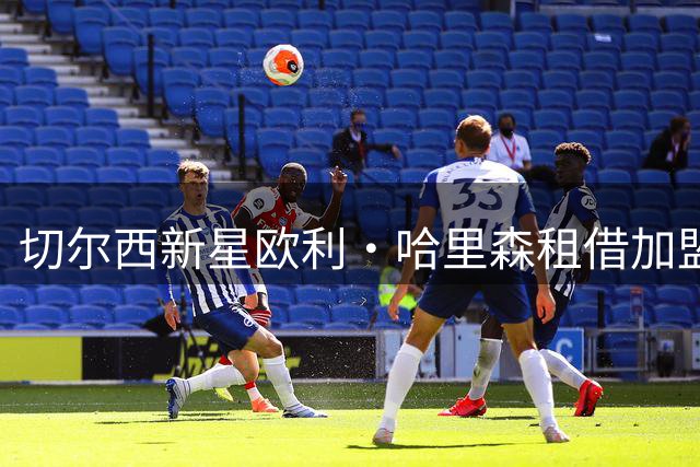 切尔西新星欧利·哈里森租借加盟英甲温布尔登
