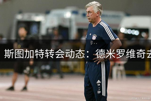 斯图加特转会动态：德米罗维奇去留将决定阿雷瓦洛命运